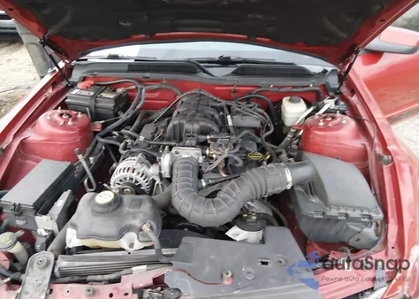 2008 Ford Mustang V6 Deluxe/V6 Premium z USA, uszkodzony, nr VIN 1ZVHT80N885103313